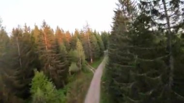 FPV insansız hava aracı videosu, yukarıdan görüntü, yüksek hızda uçan bir FPV İHA 'dan hava görüntüsü ve güzel bir günbatımında aydınlatılmış yeşil orman.. 