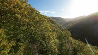 FPV, sonbahar mevsiminde muhteşem vahşi orman ağaçlarında hareket uçuşunu gerçekleştirir. FPV İHA sonbahar renkli ağaçların üzerinden dağa doğru uçar.. 