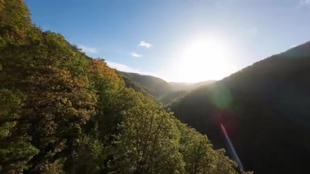 Fpv Bewegingsvlucht Filmische Prachtige Wilde Bos Bomen Omgeving Het Najaar — Stockvideo