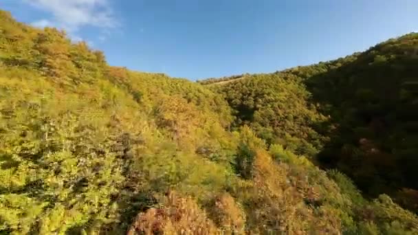 Fpv Bewegingsvlucht Filmische Prachtige Wilde Bos Bomen Omgeving Het Najaar — Stockvideo