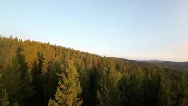 Luchtfoto Fpv Drone Video Zicht Van Boven Luchtfoto Van Een — Stockvideo
