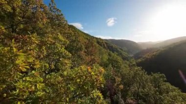FPV, sonbahar mevsiminde muhteşem vahşi orman ağaçlarında hareket uçuşunu gerçekleştirir. FPV İHA sonbahar renkli ağaçların üzerinden dağa doğru uçar.. 