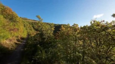 FPV, sonbahar mevsiminde muhteşem vahşi orman ağaçlarında hareket uçuşunu gerçekleştirir. FPV İHA sonbahar renkli ağaçların üzerinden dağa doğru uçar.. 