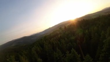 FPV insansız hava aracı videosu, yukarıdan görüntü, yüksek hızda uçan bir FPV İHA 'dan hava görüntüsü ve güzel bir günbatımında aydınlatılmış yeşil orman.. 