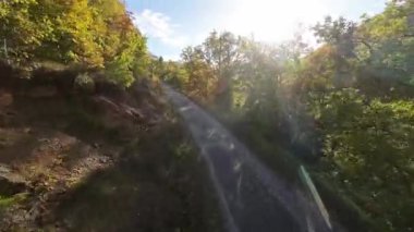 FPV, sonbahar mevsiminde muhteşem vahşi orman ağaçlarında hareket uçuşunu gerçekleştirir. FPV İHA sonbahar renkli ağaçların üzerinden dağa doğru uçar.. 