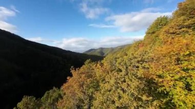 FPV, sonbahar mevsiminde muhteşem vahşi orman ağaçlarında hareket uçuşunu gerçekleştirir. FPV İHA sonbahar renkli ağaçların üzerinden dağa doğru uçar.. 