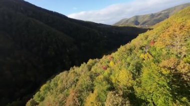 FPV, sonbahar mevsiminde muhteşem vahşi orman ağaçlarında hareket uçuşunu gerçekleştirir. FPV İHA sonbahar renkli ağaçların üzerinden dağa doğru uçar.. 