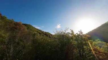 FPV, sonbahar mevsiminde muhteşem vahşi orman ağaçlarında hareket uçuşunu gerçekleştirir. FPV İHA sonbahar renkli ağaçların üzerinden dağa doğru uçar.. 