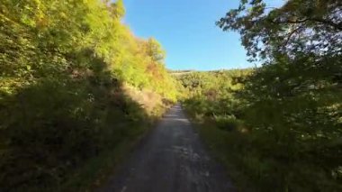 FPV insansız hava aracı videosu, yukarıdan görüntü, yüksek hızda uçan bir FPV İHA 'dan hava görüntüsü ve güzel bir günbatımında aydınlatılmış yeşil orman.. 