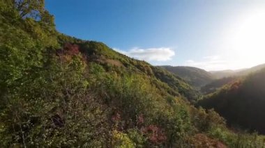 FPV, sonbahar mevsiminde muhteşem vahşi orman ağaçlarında hareket uçuşunu gerçekleştirir. FPV İHA sonbahar renkli ağaçların üzerinden dağa doğru uçar.. 
