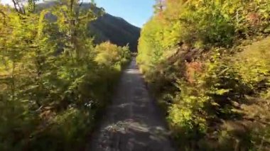 FPV, sonbahar mevsiminde muhteşem vahşi orman ağaçlarında hareket uçuşunu gerçekleştirir. FPV İHA sonbahar renkli ağaçların üzerinden dağa doğru uçar.. 