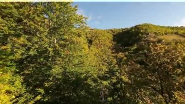 FPV, sonbahar mevsiminde muhteşem vahşi orman ağaçlarında hareket uçuşunu gerçekleştirir. FPV İHA sonbahar renkli ağaçların üzerinden dağa doğru uçar.. 