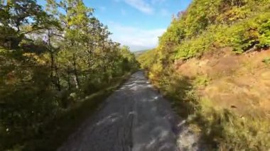 FPV, sonbahar mevsiminde muhteşem vahşi orman ağaçlarında hareket uçuşunu gerçekleştirir. FPV İHA sonbahar renkli ağaçların üzerinden dağa doğru uçar.. 