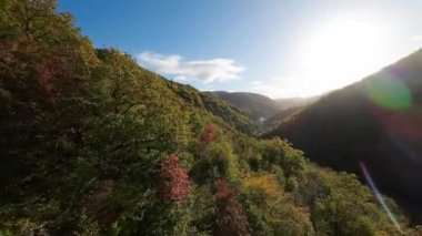 FPV, sonbahar mevsiminde muhteşem vahşi orman ağaçlarında hareket uçuşunu gerçekleştirir. FPV İHA sonbahar renkli ağaçların üzerinden dağa doğru uçar.. 