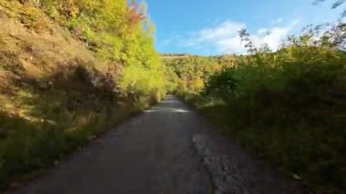 FPV, sonbahar mevsiminde muhteşem vahşi orman ağaçlarında hareket uçuşunu gerçekleştirir. FPV İHA sonbahar renkli ağaçların üzerinden dağa doğru uçar.. 