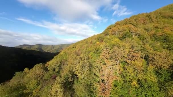 시즌에 영화관 경이로운 환경에 Fpv Fpv 무인비행기는 착색한 나무에 산으로 — 비디오