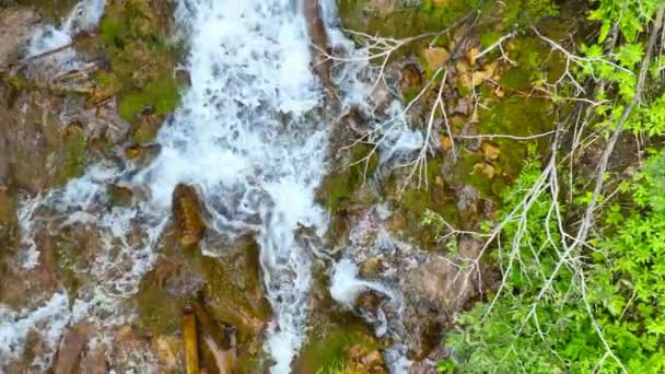 Cachoeira Bonita Floresta Verde Vista Superior Uma Das Jóias Escondidas — Vídeo de Stock