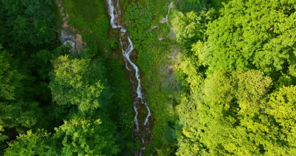 緑の森の美しい滝 トップビュー ボスニアとヘルツェゴビナの滝スカカバックの隠された宝石の一つ ヨーロッパで最高かつ最も美しい滝 — ストック動画