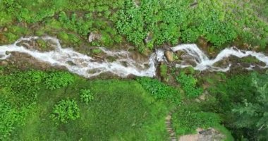 Yeşil ormanda güzel bir şelale, üst manzara. Bosna-Hersek Şelalesi Skakavac 'ın gizli mücevherlerinden biri Avrupa' nın en yüksek ve en güzel şelalesidir..