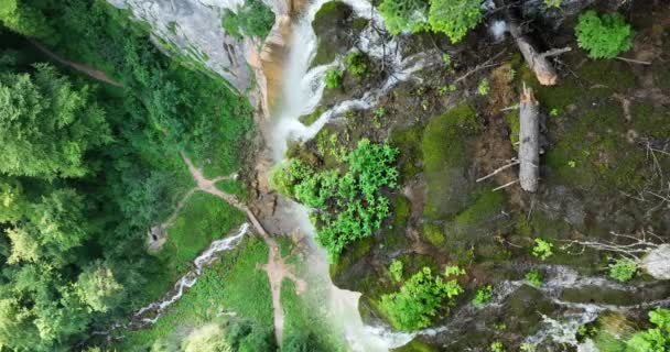 Hermosa Cascada Bosque Verde Vista Superior Una Las Joyas Ocultas — Vídeos de Stock