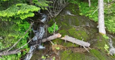 Yeşil ormanda güzel bir şelale, üst manzara. Bosna-Hersek Şelalesi Skakavac 'ın gizli mücevherlerinden biri Avrupa' nın en yüksek ve en güzel şelalesidir..