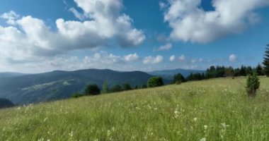 Güneşli bir yaz gününde, dağ tepelerinin ve taze yeşil çimenlerin havadan görünüşü. Arka planda mavi gökyüzü ve bulutlar var..