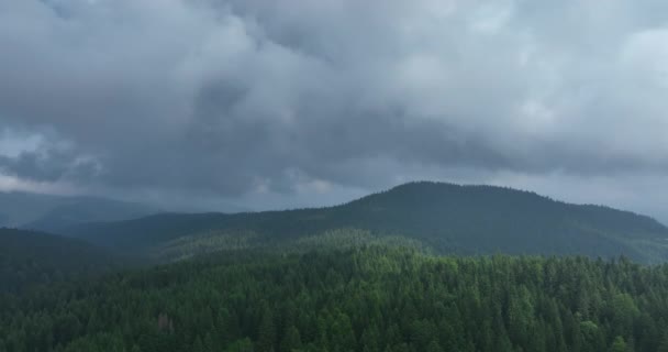 曇りの雨の夏の日に緑の森と雲と山の空中ビューの空中重なったタイムラップ — ストック動画