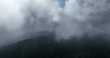 Bulutların ve dağların bulutlu bir yaz gününde yeşil ormanlı havadan görüntüsü.