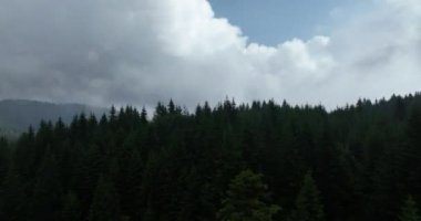 Bulutların ve dağların bulutlu bir yaz gününde yeşil ormanlı havadan görüntüsü.