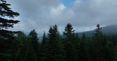 Bulutların ve dağların bulutlu bir yaz gününde yeşil ormanlı havadan görüntüsü.