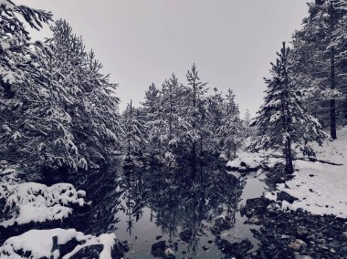 Donmuş Nehir 'de İnanılmaz Sinematik Görüntü. Donmuş Derenin Üzerinde Uçan Havadan Bakış Doğa Manzarası. Karlı Kış Tatil Zamanı