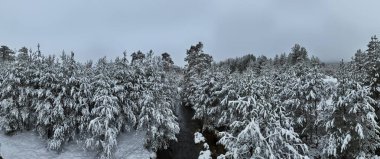 Donmuş Nehir 'de İnanılmaz Sinematik Görüntü. Donmuş Derenin Üzerinde Uçan Havadan Bakış Doğa Manzarası. Karlı Kış Tatil Zamanı