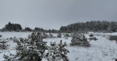 Donmuş Nehir 'de İnanılmaz Sinematik Görüntü. Donmuş Derenin Üzerinde Uçan Havadan Bakış Doğa Manzarası. Karlı Kış Tatil Zamanı