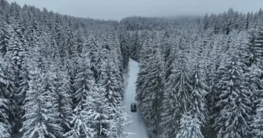 Karlı Dağlar 'daki Puslu Günbatımı' nın insansız hava aracı bakış açısı. Ormanlar, çam ağaçlarının arasındaki patikalardan geçer. Kış mevsimi taze karla kaplı, kıvrımlı köy yolu.. 