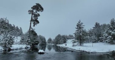 Donmuş Nehir 'de İnanılmaz Sinematik Görüntü. Donmuş Derenin Üzerinde Uçan Havadan Bakış Doğa Manzarası. Karlı Kış Tatil Zamanı