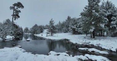 Donmuş Nehir 'de İnanılmaz Sinematik Görüntü. Donmuş Derenin Üzerinde Uçan Havadan Bakış Doğa Manzarası. Karlı Kış Tatil Zamanı