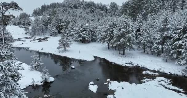 Incrível Vista Aérea Cinematográfica Freezing River Vôo Vista Aérea Acima — Vídeo de Stock