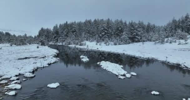 令人惊奇的电影空中冻结河的观点 空中俯瞰飞越冰河上空的自然景观 寒假寒假时间 — 图库视频影像