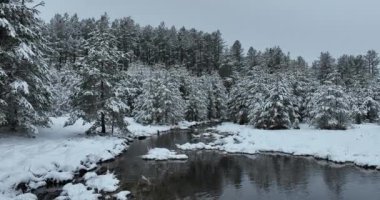 Donmuş Nehir 'de İnanılmaz Sinematik Görüntü. Donmuş Derenin Üzerinde Uçan Havadan Bakış Doğa Manzarası. Karlı Kış Tatil Zamanı