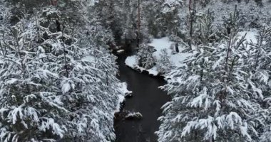 Donmuş Nehir 'de İnanılmaz Sinematik Görüntü. Donmuş Derenin Üzerinde Uçan Havadan Bakış Doğa Manzarası. Karlı Kış Tatil Zamanı