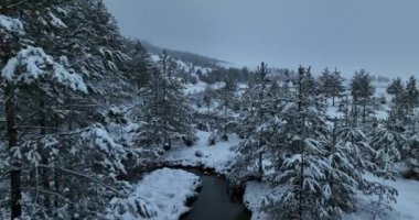 Donmuş Nehir 'de İnanılmaz Sinematik Görüntü. Donmuş Derenin Üzerinde Uçan Havadan Bakış Doğa Manzarası. Karlı Kış Tatil Zamanı