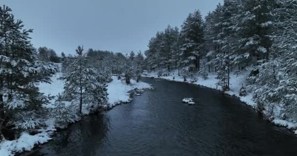 Fantastisk Cinematic Flygfoto Freezing River Flyg View Flight Ovanför Frozen — Stockvideo