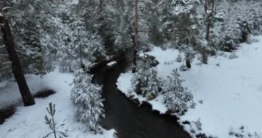 Donmuş Nehir 'de İnanılmaz Sinematik Görüntü. Donmuş Derenin Üzerinde Uçan Havadan Bakış Doğa Manzarası. Karlı Kış Tatil Zamanı