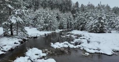 Donmuş Nehir 'de İnanılmaz Sinematik Görüntü. Donmuş Derenin Üzerinde Uçan Havadan Bakış Doğa Manzarası. Karlı Kış Tatil Zamanı