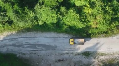 Çam ağacı ormanı ve kıvrımlı bir kır yolu sisli, sisli ve güneşli bir yaz sabahı