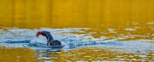 Triathlon athlete swimming on lake in sunrise wearing wetsuit. High quality photo