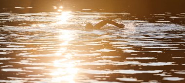 Güneşin doğuşunda gölde yüzen triatlon sporcusu. Dalgıç kıyafeti giymiş. Yüksek kalite fotoğraf
