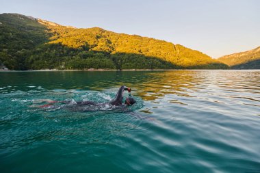 Güneşin doğuşunda gölde yüzen triatlon sporcusu. Dalgıç kıyafeti giymiş. Yüksek kalite fotoğraf