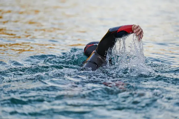 Триатлонист Плавает Озере Восходе Солнца Гидрокостюме Высокое Качество Фото — стоковое фото