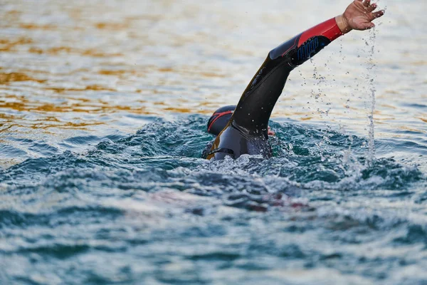 Güneşin doğuşunda gölde yüzen triatlon sporcusu. Dalgıç kıyafeti giymiş. Yüksek kalite fotoğraf